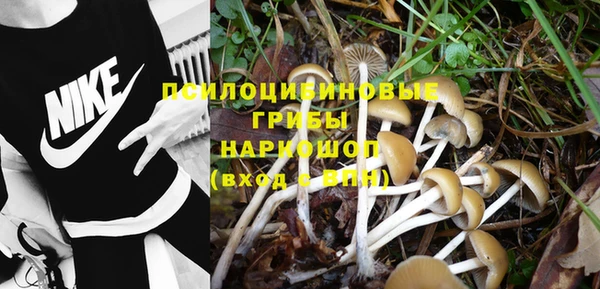индика Абдулино