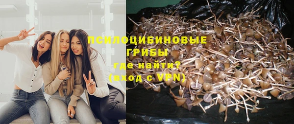 индика Абдулино
