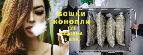 прущие крисы Переславль-Залесский