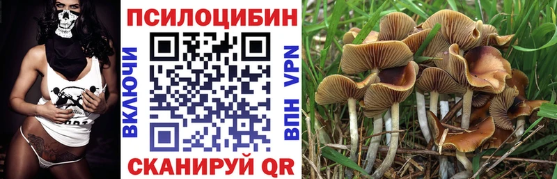 Галлюциногенные грибы MAGIC MUSHROOMS  гидра вход  Талдом 